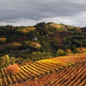 Colori del Nord Astigiano sontuosamente fotografati da Enzo Isaia