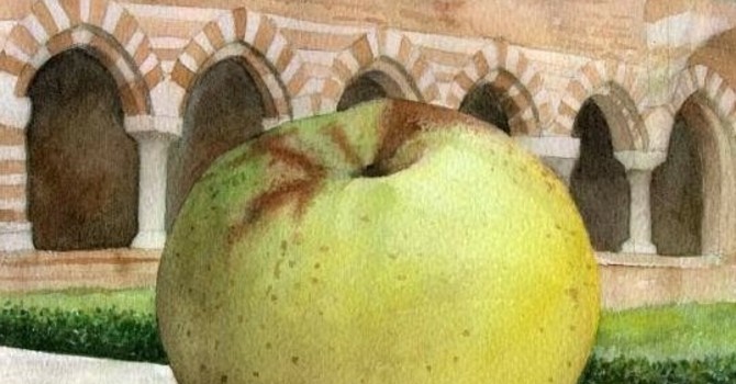 Viviamo in un posto bellissimo dove spicca il verde di Vezzolano