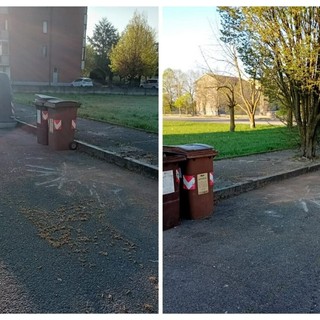 Immagini della zona dopo l'intervento di pulizia da parte del personale Asp