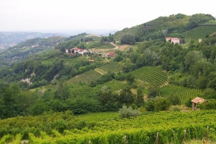 Cassinasco: slitta al 5 maggio il termine per i creditori