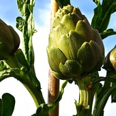 Viviamo in un posto bellissimo che da oggi vede la primavera