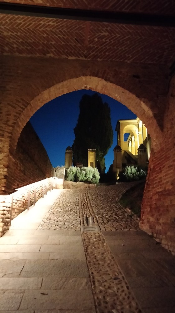 Disagio, filosofia e antisemitismo, ripartono le videoconferenze di Polo Cittattiva