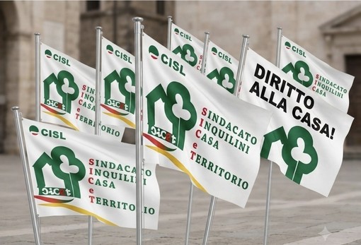 Piano Casa al Senato: corsa verso il via libera tra promesse e preoccupazioni Piano Casa al Senato: corsa verso il via libera tra promesse e preoccupazioni