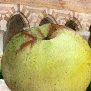 Viviamo in un posto bellissimo dove spicca il verde di Vezzolano