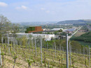 Castagnole Attiva convoca assemblea pubblica per discutere il progetto industriale in Valle Tanaro Castagnole Attiva convoca assemblea pubblica per discutere il progetto industriale in Valle Tanaro