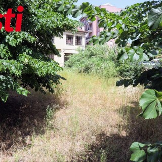 I cambi da bocce, sono ricoperti ormai da anni da una folta vegetazione cresciuta spontaneamente