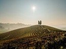 Vacanze Astigiane tra colli vitati e feste del vino