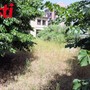 I cambi da bocce, sono ricoperti ormai da anni da una folta vegetazione cresciuta spontaneamente