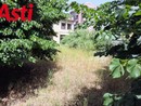 I cambi da bocce, sono ricoperti ormai da anni da una folta vegetazione cresciuta spontaneamente