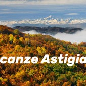 Colline dell'estremo Sud Astigiano ritratte alla grande da Enzo Isaia