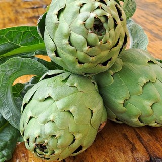 Carciofo della Valtiglione, in Sagra a Costigliole d'Asti nel prossimo fine settimana