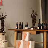 Foto d'archivio (MerfePhoto)