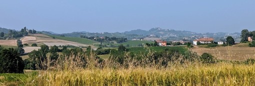 Colline Cocconato