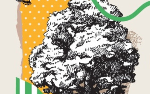 Gaia regala compost ai cittadini: a San Damiano d’Asti il rifiuto organico diventa risorsa