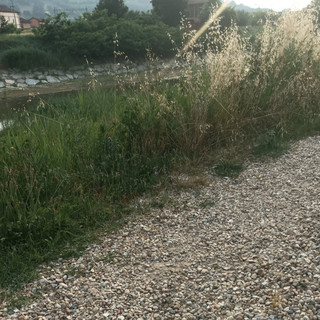 Percorso ciclabile sull’argine tra piazzale Ercole e Amendola: fondo in ghiaia e accessi pericolosi