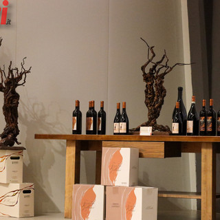 Foto d'archivio (MerfePhoto)