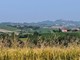 Colline Cocconato