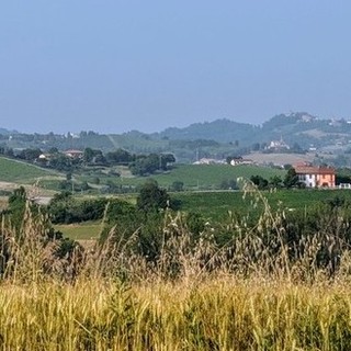 Colline Cocconato