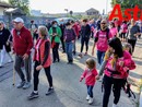 Un immagine relativa una precedente edizione della Camminata in rosa