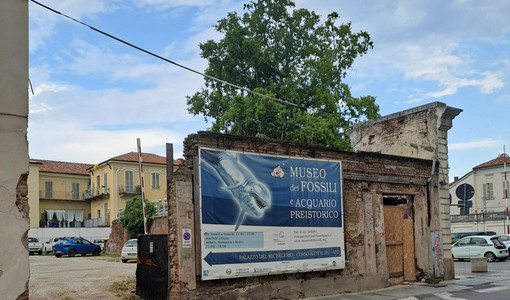 "Il cartello del museo dei fossili diventa un reperto di degrado in corso Alfieri?" "Il cartello del museo dei fossili diventa un reperto di degrado in corso Alfieri?"