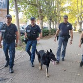 Nuovo servizio straordinario di controllo del territorio [GALLERIA FOTOGRAFICA]