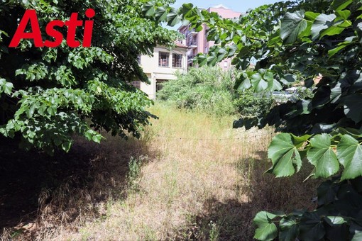 I cambi da bocce, sono ricoperti ormai da anni da una folta vegetazione cresciuta spontaneamente