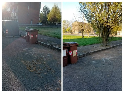 Immagini della zona dopo l'intervento di pulizia da parte del personale Asp Immagini della zona dopo l'intervento di pulizia da parte del personale Asp