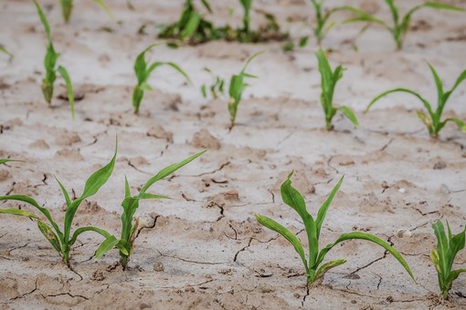 La siccità non smette di impensierire l'Astigiano: la perturbazione del primo maggio è stata un'occasione sprecata