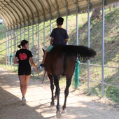Attività alla Collina