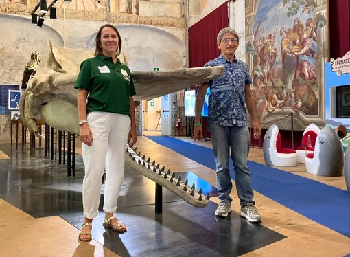 Asti e Vasto unite nel nome del capodoglio Asti e Vasto unite nel nome del capodoglio
