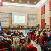 Fotogallery MerfePhoto