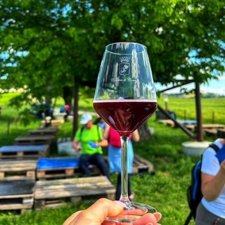 Wine trekking a Casorzo: natura e sapori lungo il sentiero del Malvasia