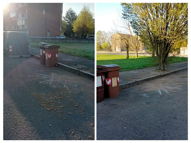 Immagini della zona dopo l'intervento di pulizia da parte del personale Asp Immagini della zona dopo l'intervento di pulizia da parte del personale Asp