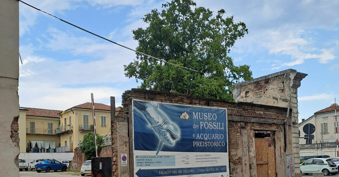 "Il cartello del museo dei fossili diventa un reperto di degrado in corso Alfieri?" "Il cartello del museo dei fossili diventa un reperto di degrado in corso Alfieri?"