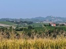 Colline Cocconato Colline Cocconato