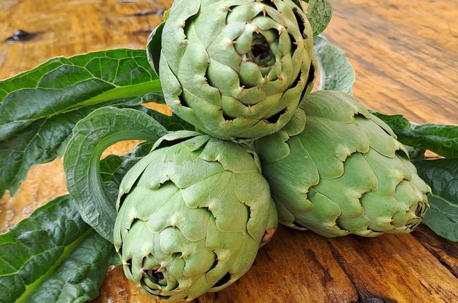 Carciofo della Valtiglione, in Sagra a Costigliole d'Asti nel prossimo fine settimana
