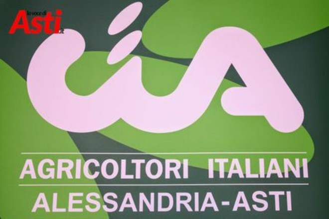 La spesa in campagna arriva in piazza Alfieri: al via il nuovo mercato agricolo a chilometro zero