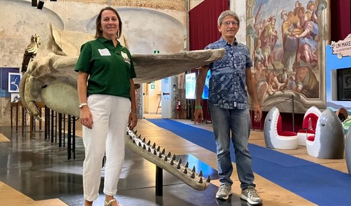 Asti e Vasto unite nel nome del capodoglio