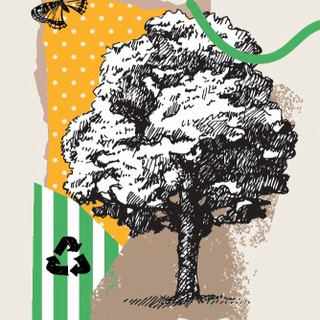 Gaia regala compost ai cittadini: a San Damiano d’Asti il rifiuto organico diventa risorsa