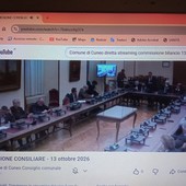 L'audizione streaming del presidente Gola L'audizione streaming del presidente Gola