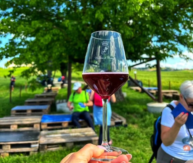 Wine trekking a Casorzo: natura e sapori lungo il sentiero del Malvasia