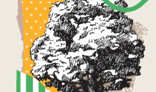 Gaia regala compost ai cittadini: a San Damiano d’Asti il rifiuto organico diventa risorsa Gaia regala compost ai cittadini: a San Damiano d’Asti il rifiuto organico diventa risorsa