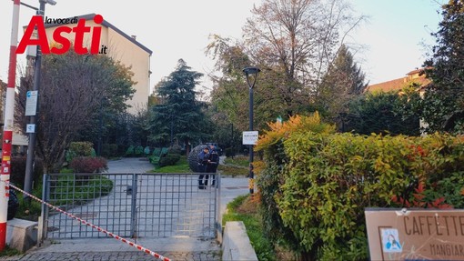 Immagine d'archivio-MerfePhoto