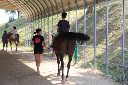 Attività alla Collina