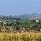 Colline Cocconato