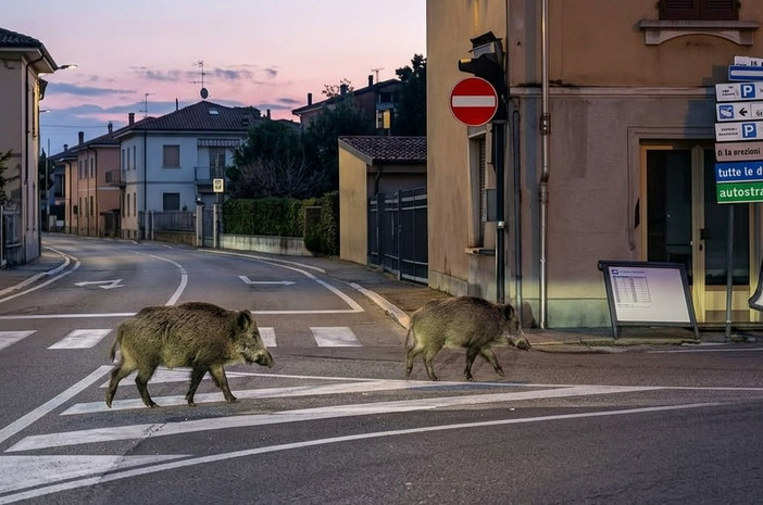 Foto tratta dal video e migliorata con l'ausilio di AI Foto tratta dal video e migliorata con l'ausilio di AI
