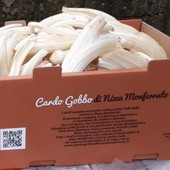 Cardo Gobbo da Vittorio Quaglia Incisa Scapaccino