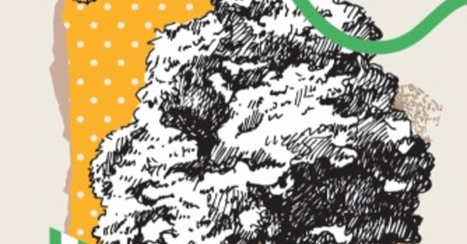 Gaia regala compost ai cittadini: a San Damiano d’Asti il rifiuto organico diventa risorsa