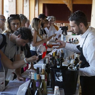 Cocco... Wine 2026! nella Riviera del Monferrato