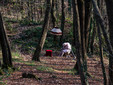 Domenica 8 giugno ultimo appuntamento al Bosco dei Partigiani